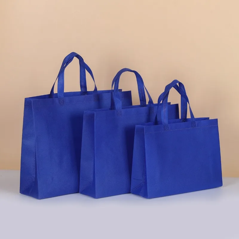 Tas Belanja Dapat Digunakan Ke - Women Bags For Eid ulasan dan harga